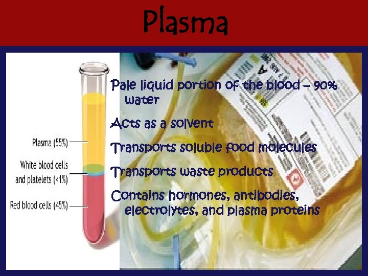 Plasma Pale liquid portion of the blood – 90% water Acts as a solvent