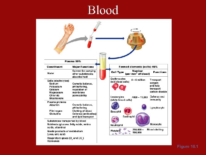 Blood Figure 10. 1 
