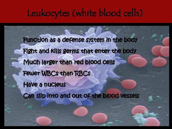 Leukocytes (white blood cells) Function as a defense system in the body Fight and