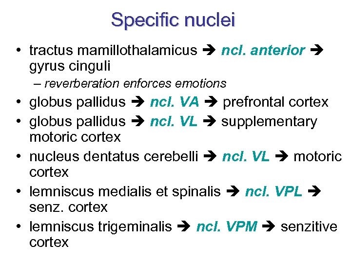 Specific nuclei • tractus mamillothalamicus ncl. anterior gyrus cinguli – reverberation enforces emotions •