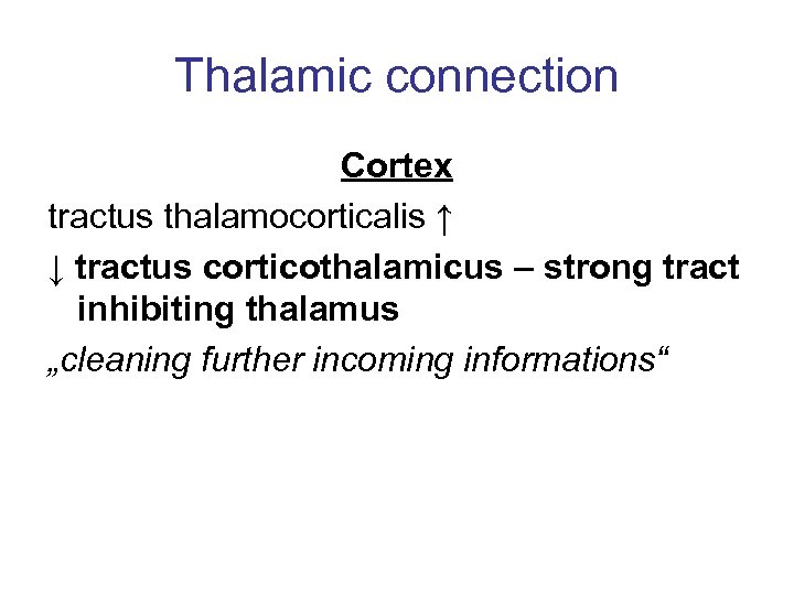 Thalamic connection Cortex tractus thalamocorticalis ↑ ↓ tractus corticothalamicus – strong tract inhibiting thalamus