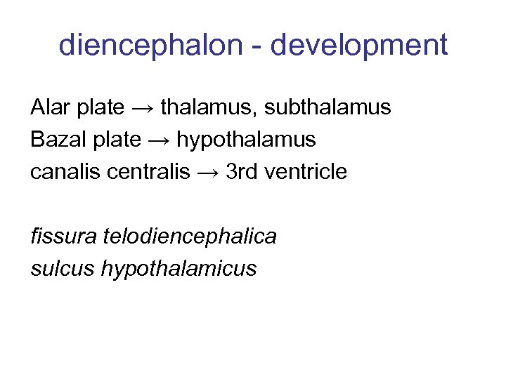 diencephalon - development Alar plate → thalamus, subthalamus Bazal plate → hypothalamus canalis centralis
