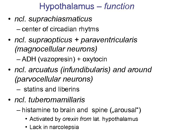 Hypothalamus – function Hypothalamus • ncl. suprachiasmaticus – center of circadian rhytms • ncl.