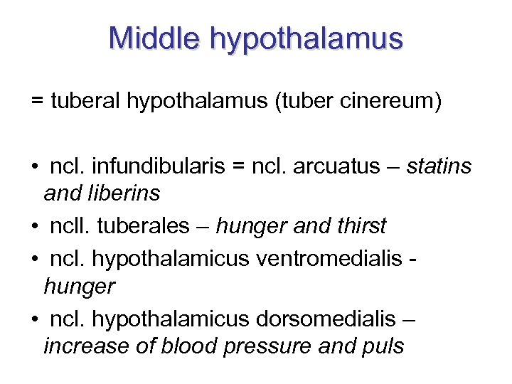 Middle hypothalamus = tuberal hypothalamus (tuber cinereum) • ncl. infundibularis = ncl. arcuatus –