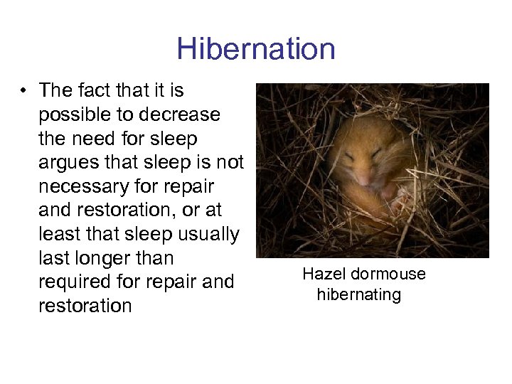 Hibernation • The fact that it is possible to decrease the need for sleep