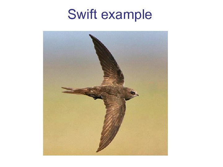 Swift example 