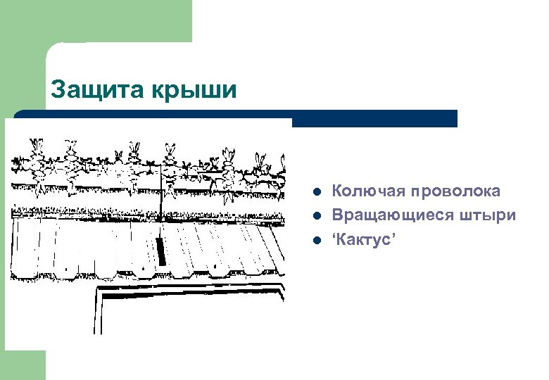 Защита крыши l l l Колючая проволока Вращающиеся штыри ‘Кактус’ 