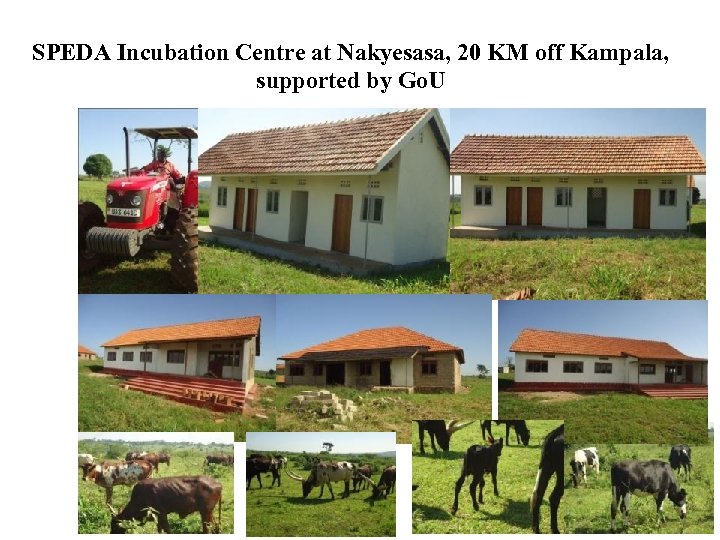 SPEDA Incubation Centre at Nakyesasa, 20 KM off Kampala, supported by Go. U 