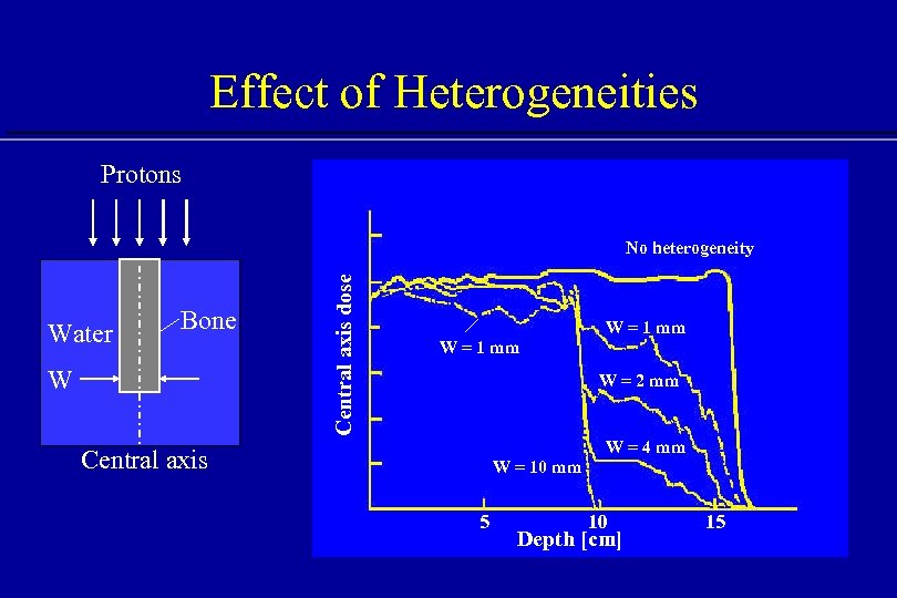 Effect of Heterogeneities Protons Water Bone W Central axis dose No heterogeneity W =