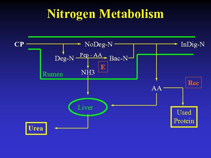 Nitrogen Metabolism CP No. Deg-N Rumen Pep - AA NH 3 In. Dig-N Bac-N