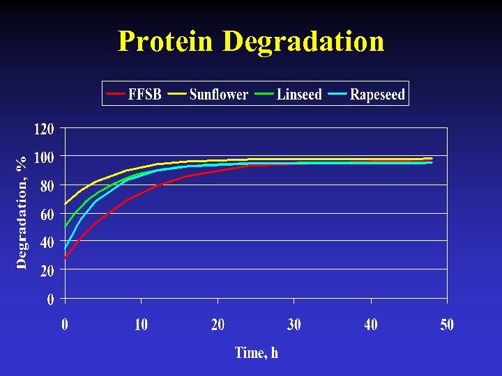 Protein Degradation 