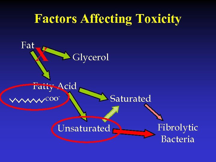 Factors Affecting Toxicity Fat X Glycerol Fatty Acid coo- Saturated Unsaturated Fibrolytic Bacteria 