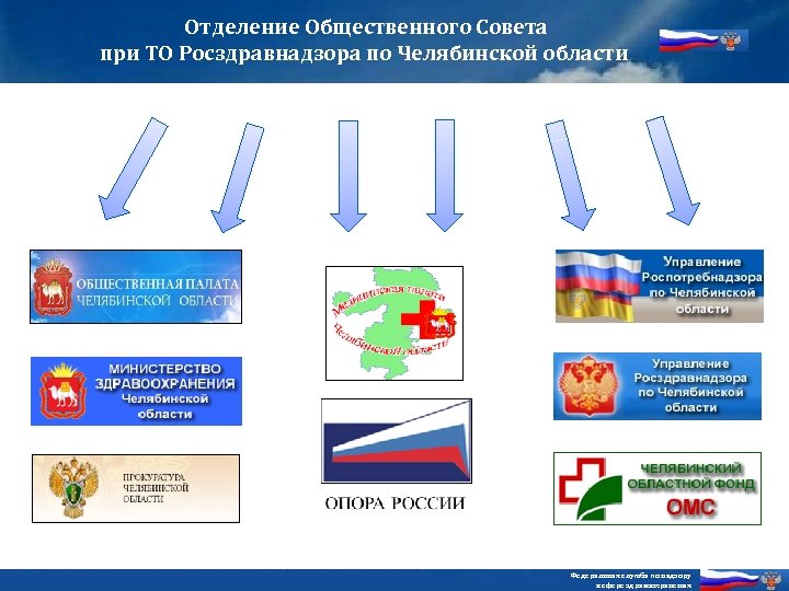 Отделение Общественного Совета при ТО Росздравнадзора по Челябинской области Федеральная служба по надзору в