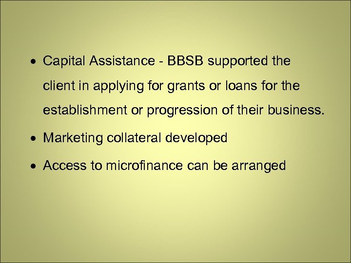  Capital Assistance - BBSB supported the client in applying for grants or loans