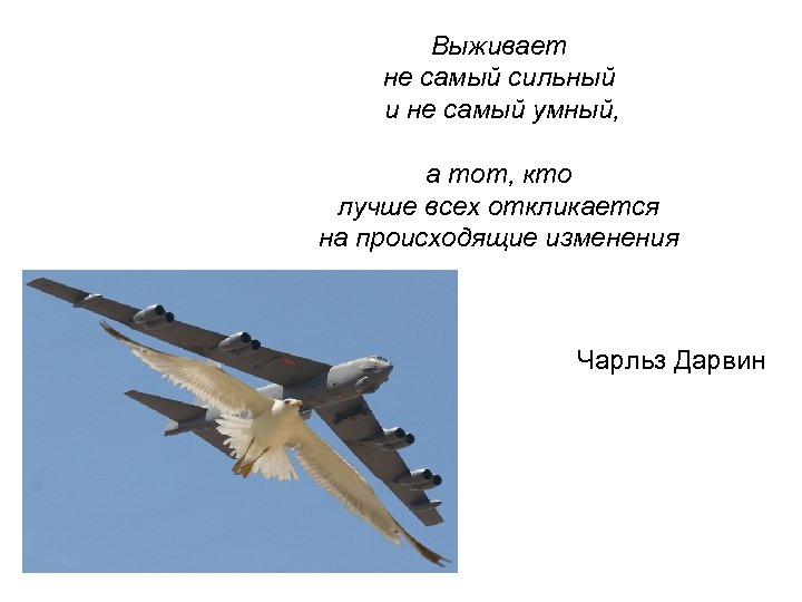 Выживает не самый сильный и не самый умный, а тот, кто лучше всех откликается
