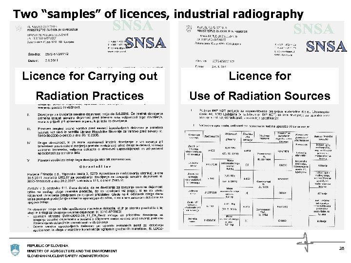 Two “samples” of licences, industrial radiography Licence for Carrying out Licence for Radiation Practices