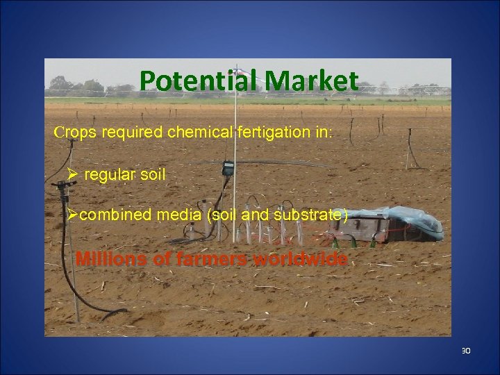 Potential Market Crops required chemical fertigation in: Ø regular soil Øcombined media (soil and