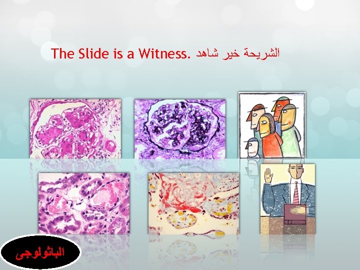  ﺍﻟﺸﺮﻳﺤﺔ ﺧﻴﺮ ﺷﺎﻫﺪ. The Slide is a Witness ﺍﻟﺒﺎﺛﻮﻟﻮﺟﻰ 