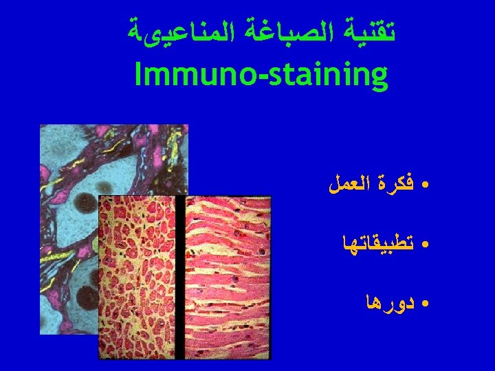  ﺗﻘﻨﻴﺔ ﺍﻟﺼﺒﺎﻏﺔ ﺍﻟﻤﻨﺎﻋﻴﻯﺔ Immuno-staining • ﻓﻜﺮﺓ ﺍﻟﻌﻤﻞ • ﺗﻄﺒﻴﻘﺎﺗﻬﺎ • ﺩﻭﺭﻫﺎ 