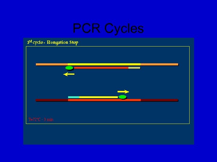 PCR Cycles 
