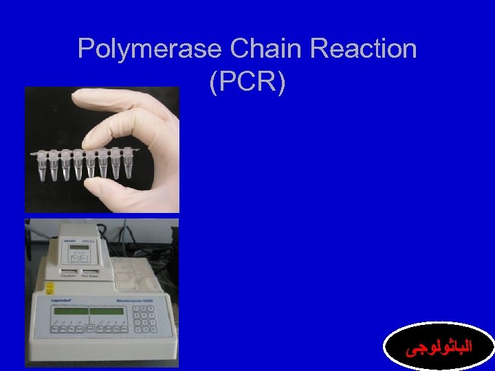 Polymerase Chain Reaction (PCR) ﺍﻟﺒﺎﺛﻮﻟﻮﺟﻰ 