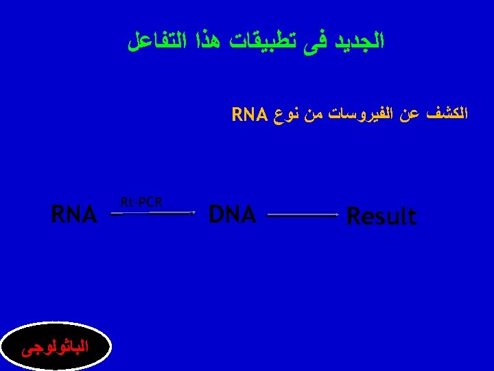  ﺍﻟﺠﺪﻳﺪ ﻓﻰ ﺗﻄﺒﻴﻘﺎﺕ ﻫﺬﺍ ﺍﻟﺘﻔﺎﻋﻞ ﺍﻟﻜﺸﻒ ﻋﻦ ﺍﻟﻔﻴﺮﻭﺳﺎﺕ ﻣﻦ ﻧﻮﻉ RNA Result DNA