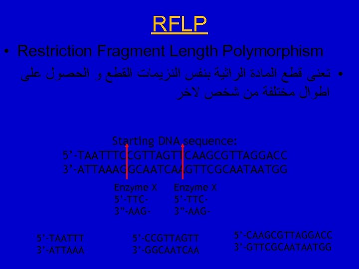 RFLP • Restriction Fragment Length Polymorphism • ﺗﻌﻨﻰ ﻗﻄﻊ ﺍﻟﻤﺎﺩﺓ ﺍﻟﺮﺍﺛﻴﺔ ﺑﻨﻔﺲ ﺍﻟﻨﺰﻳﻤﺎﺕ ﺍﻟﻘﻄﻊ