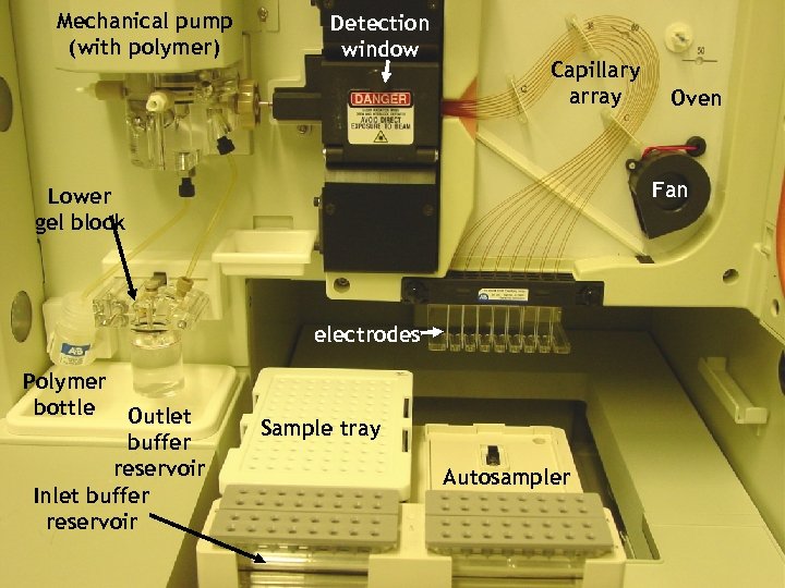 Mechanical pump (with polymer) Detection window Capillary array Fan Lower gel block electrodes Polymer