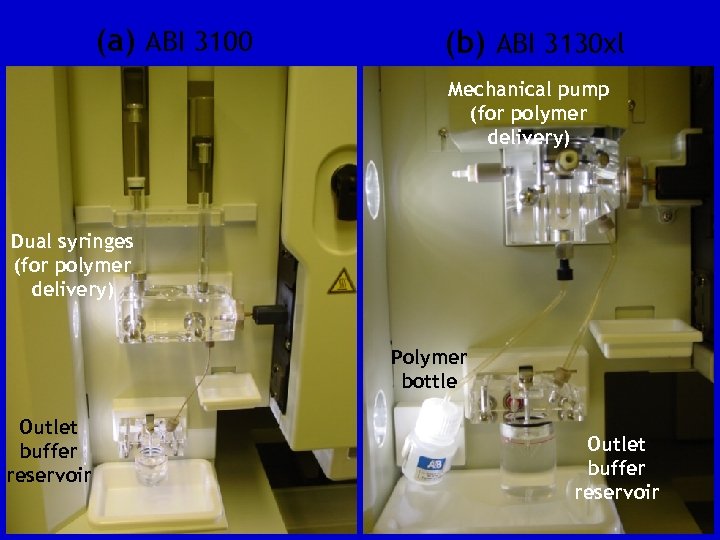 (a) ABI 3100 (b) ABI 3130 xl Mechanical pump (for polymer delivery) Dual syringes
