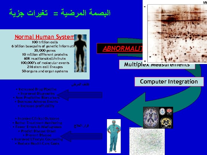 ﺍﻟﺒﺼﻤﺔ ﺍﻟﻤﺮﺿﻴﺔ = ﺗﻐﻴﺮﺍﺕ ﺟﺰﻳﺔ Normal Human System 100 trillion cells 6 billion
