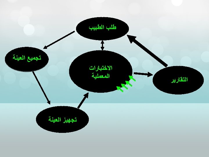  ﻃﻠﺐ ﺍﻟﻄﺒﻴﺐ ﺗﺠﻤﻴﻊ ﺍﻟﻌﻴﻨﺔ ﺍﻟﺘﻘﺎﺭﻳﺮ ﺍﻻﺧﺘﺒﺎﺭﺍﺕ ﺍﻟﻤﻌﻤﻠﻴﺔ ﺗﺠﻬﻴﺰ ﺍﻟﻌﻴﻨﺔ 