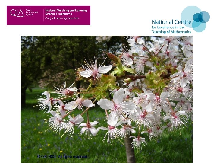 © QIA 2006. All rights reserved 