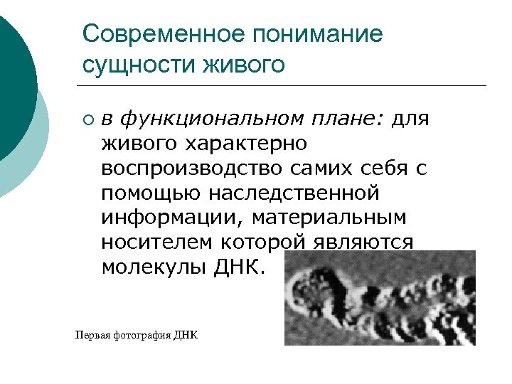 Современное понимание сущности живого в функциональном плане: для живого характерно воспроизводство самих себя с