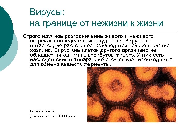 Вирусы: на границе от нежизни к жизни Строго научное разграничение живого и неживого встречает