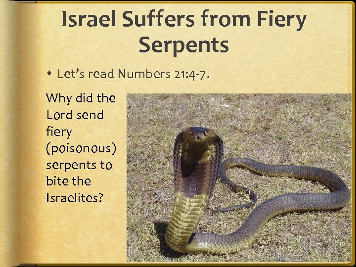 Israel Suffers from Fiery Serpents Let’s read Numbers 21: 4 -7. Why did the