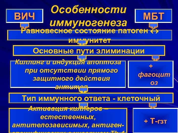 ВИЧ Особенности иммуногенеза МБТ Равновесное состояние патоген иммунитет Основные пути элиминации Киллинг и индукция