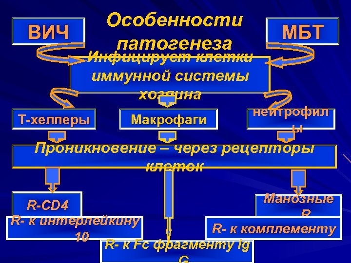 ВИЧ Особенности патогенеза МБТ Инфицирует клетки иммунной системы хозяина Т-хелперы Макрофаги нейтрофил ы Проникновение