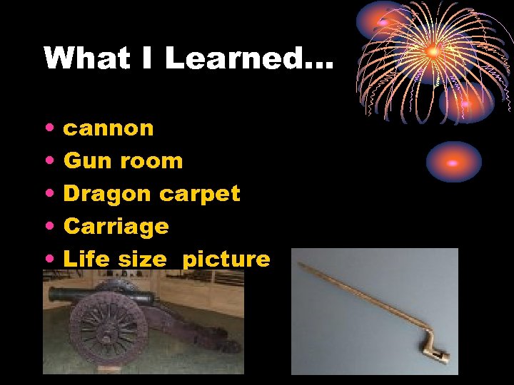 What I Learned… • • • cannon Gun room Dragon carpet Carriage Life size