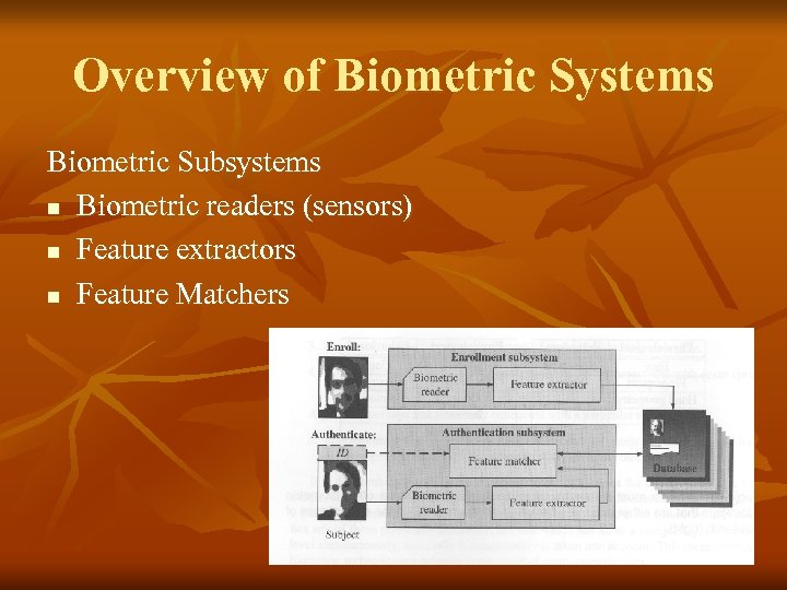 Overview of Biometric Systems Biometric Subsystems n Biometric readers (sensors) n Feature extractors n