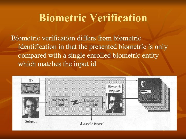 Biometric Verification Biometric verification differs from biometric identification in that the presented biometric is