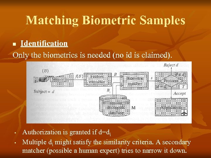 Matching Biometric Samples Identification Only the biometrics is needed (no id is claimed). n