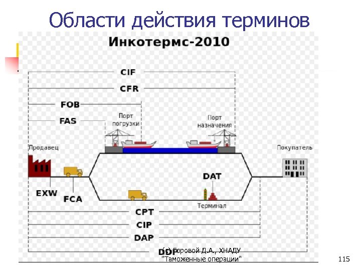 Области действия терминов (с) Горовой Д. А. , ХНАДУ "Таможенные операции" 115 
