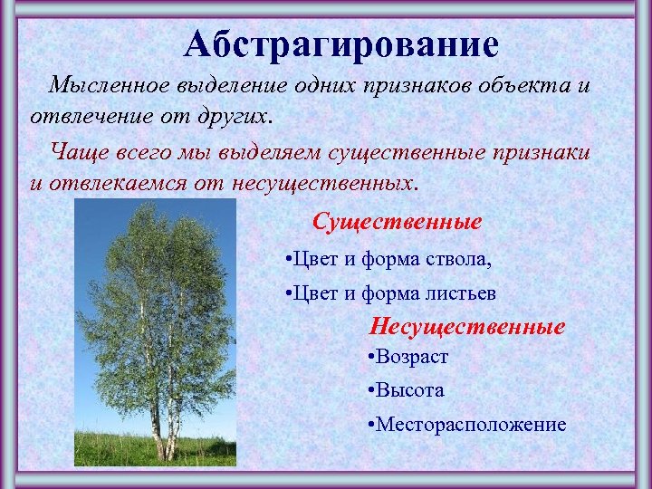 Абстрагирование Мысленное выделение одних признаков объекта и отвлечение от других. Чаще всего мы выделяем