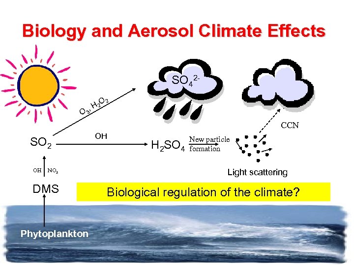 Biology and Aerosol Climate Effects SO 42 O 2 H 2 , O 3