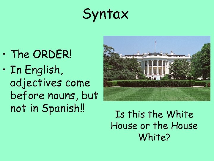 Syntax • The ORDER! • In English, adjectives come before nouns, but not in