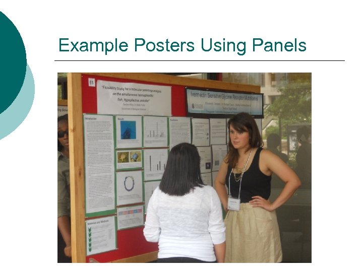 Example Posters Using Panels 