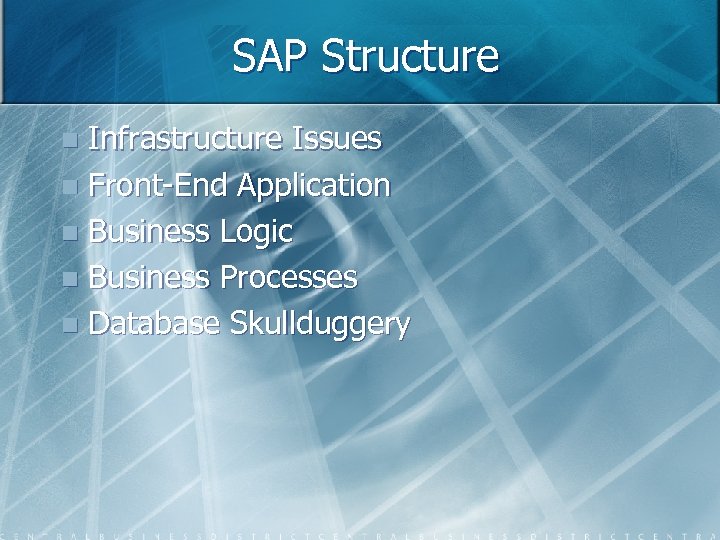 SAP Structure Infrastructure Issues n Front-End Application n Business Logic n Business Processes n