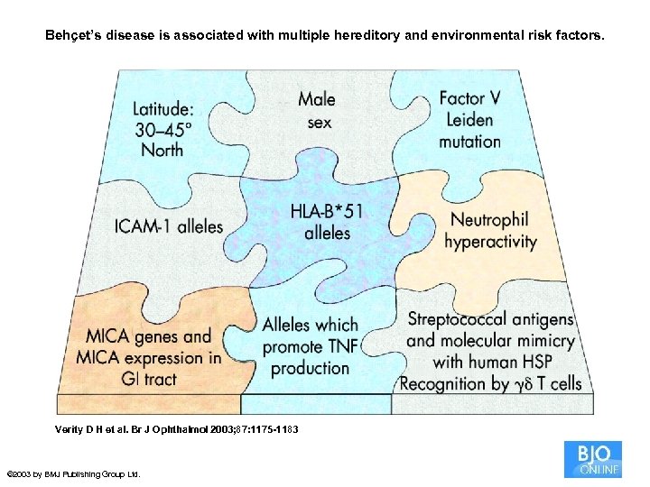 Behçet’s disease is associated with multiple hereditory and environmental risk factors. Verity D H
