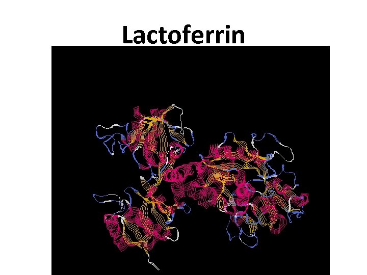 Lactoferrin 