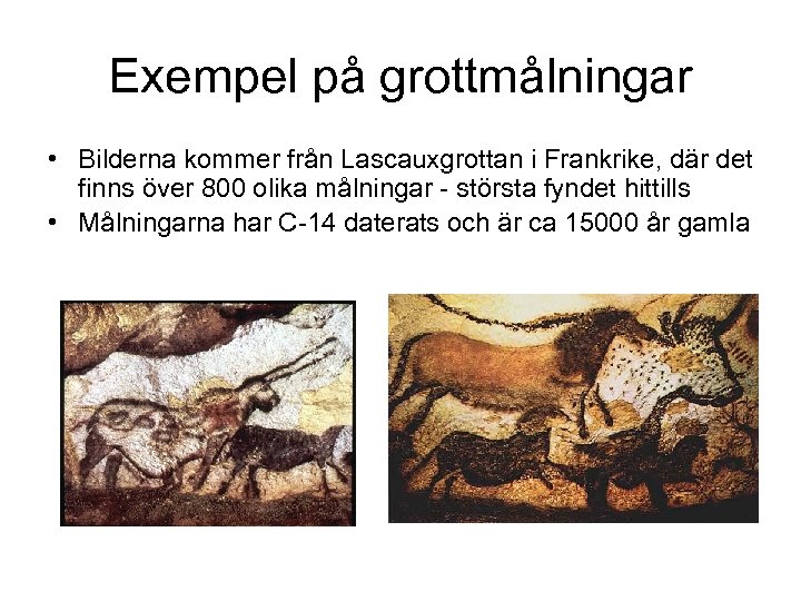 Exempel på grottmålningar • Bilderna kommer från Lascauxgrottan i Frankrike, där det finns över